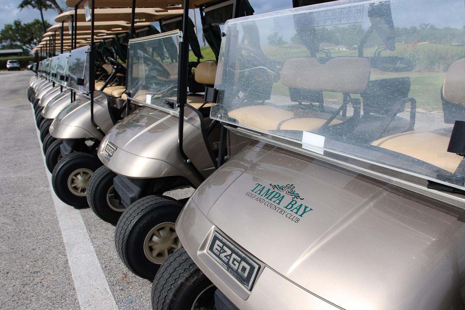 Image 61 of 73 For 29290 Grass Bunker Drive