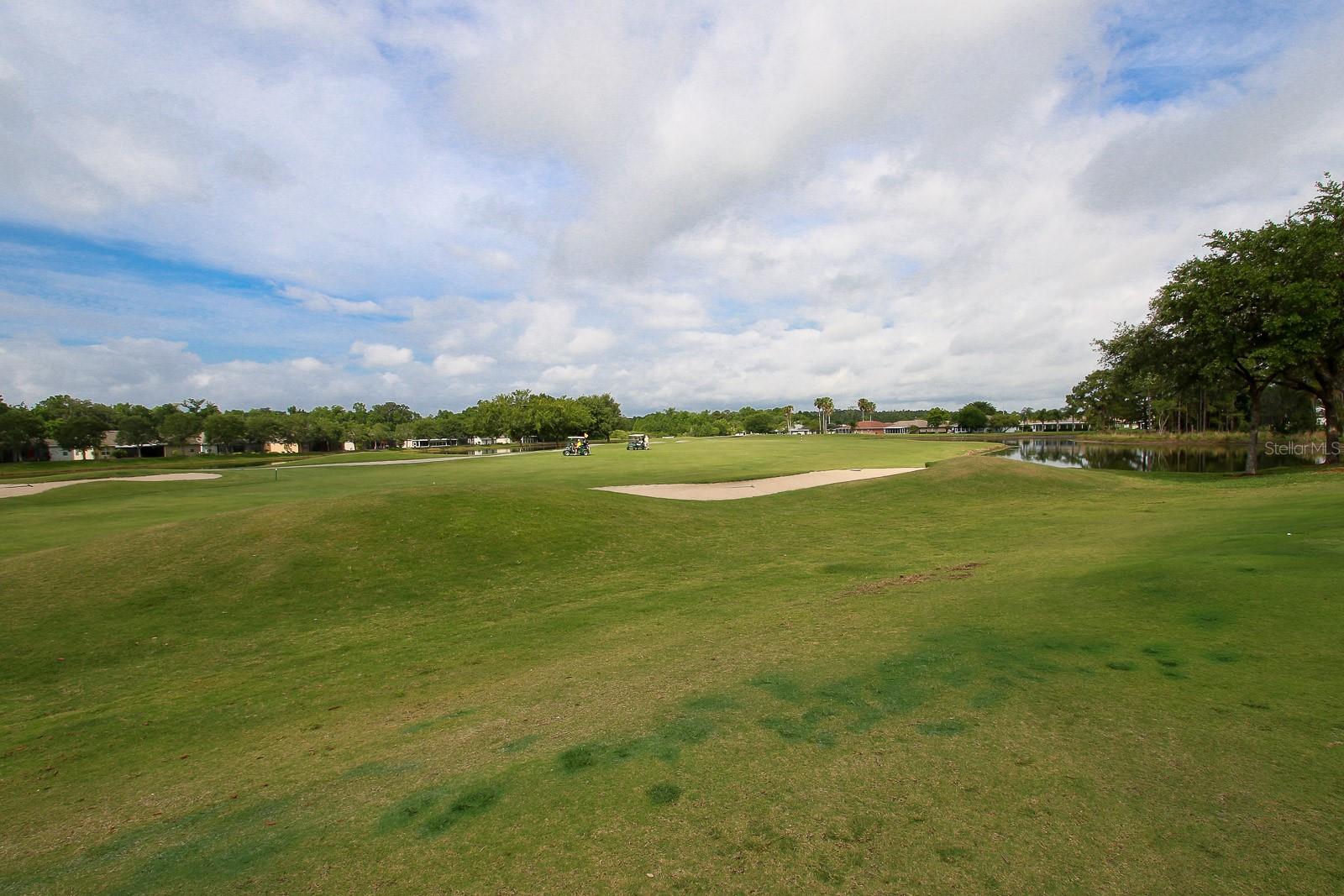 Image 64 of 73 For 29290 Grass Bunker Drive