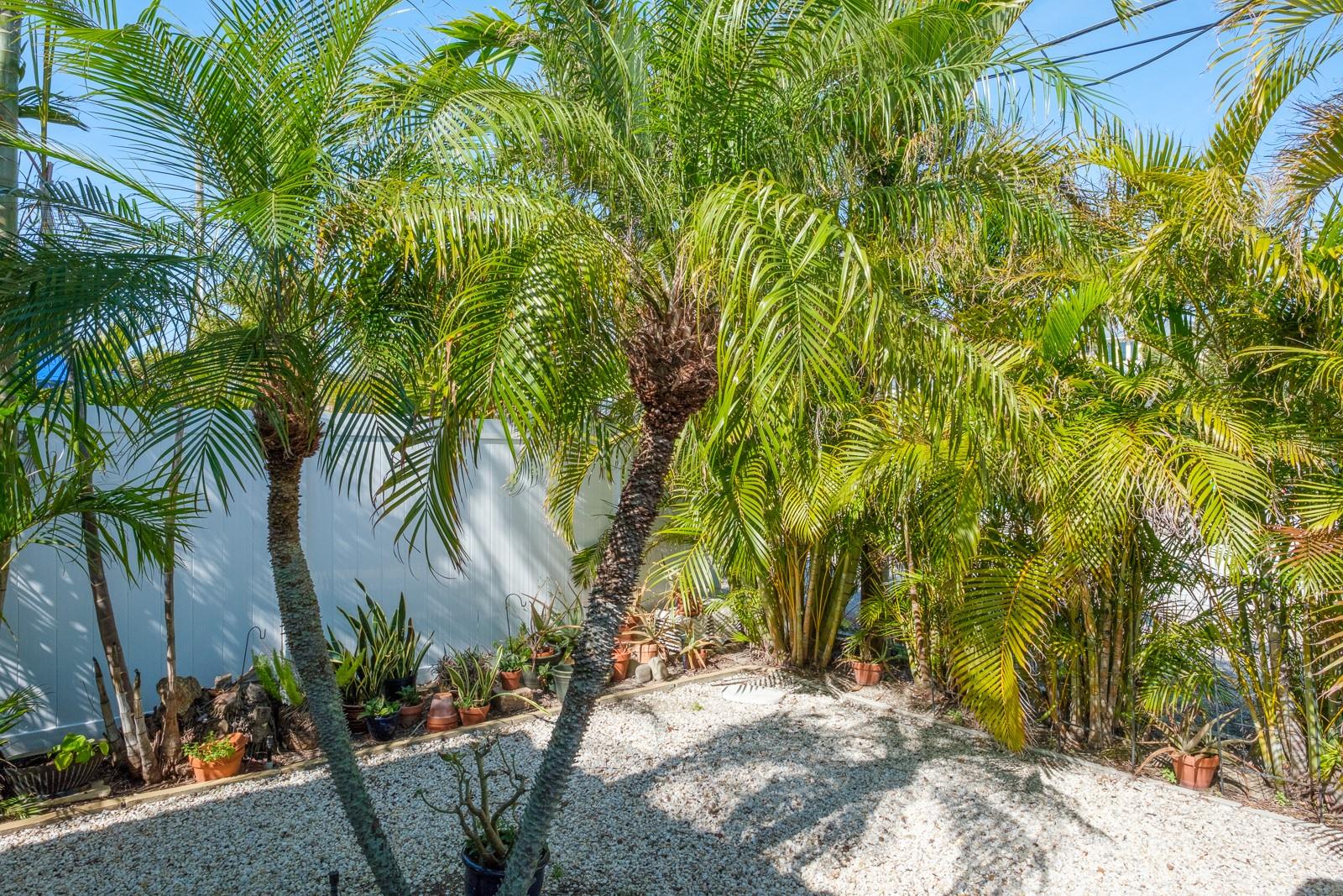 Image 29 of 42 For 4550 Plaza Way