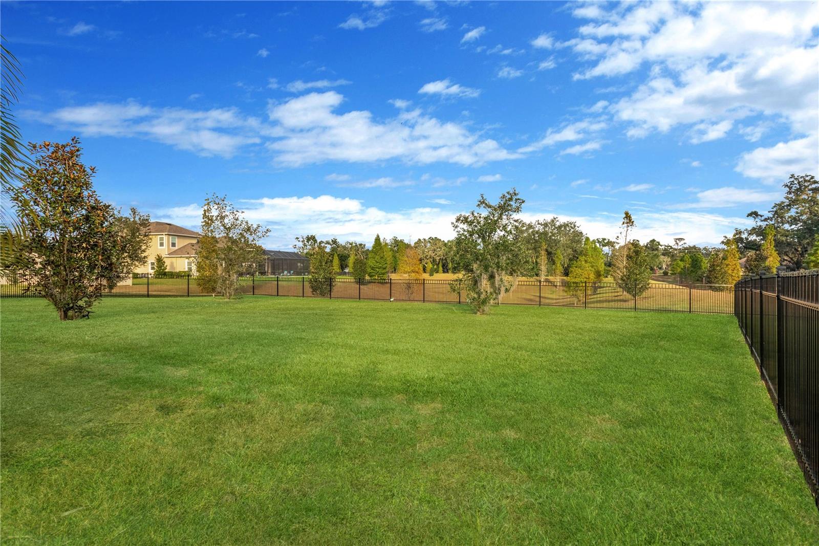 Listing photo id 29 for 3010 Albion Walk Place