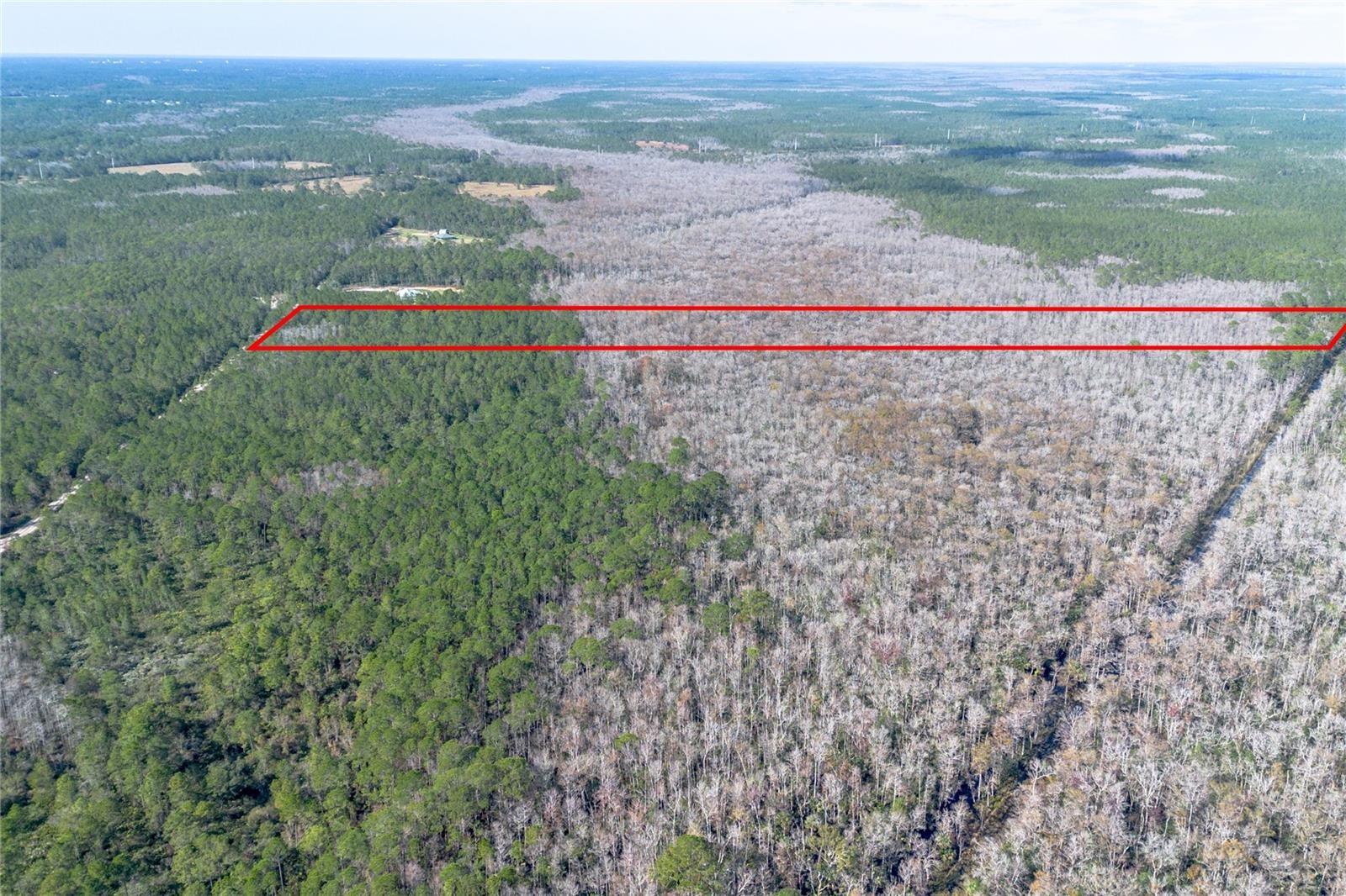 Details for 2449 Old Train Road, DELTONA, FL 32738