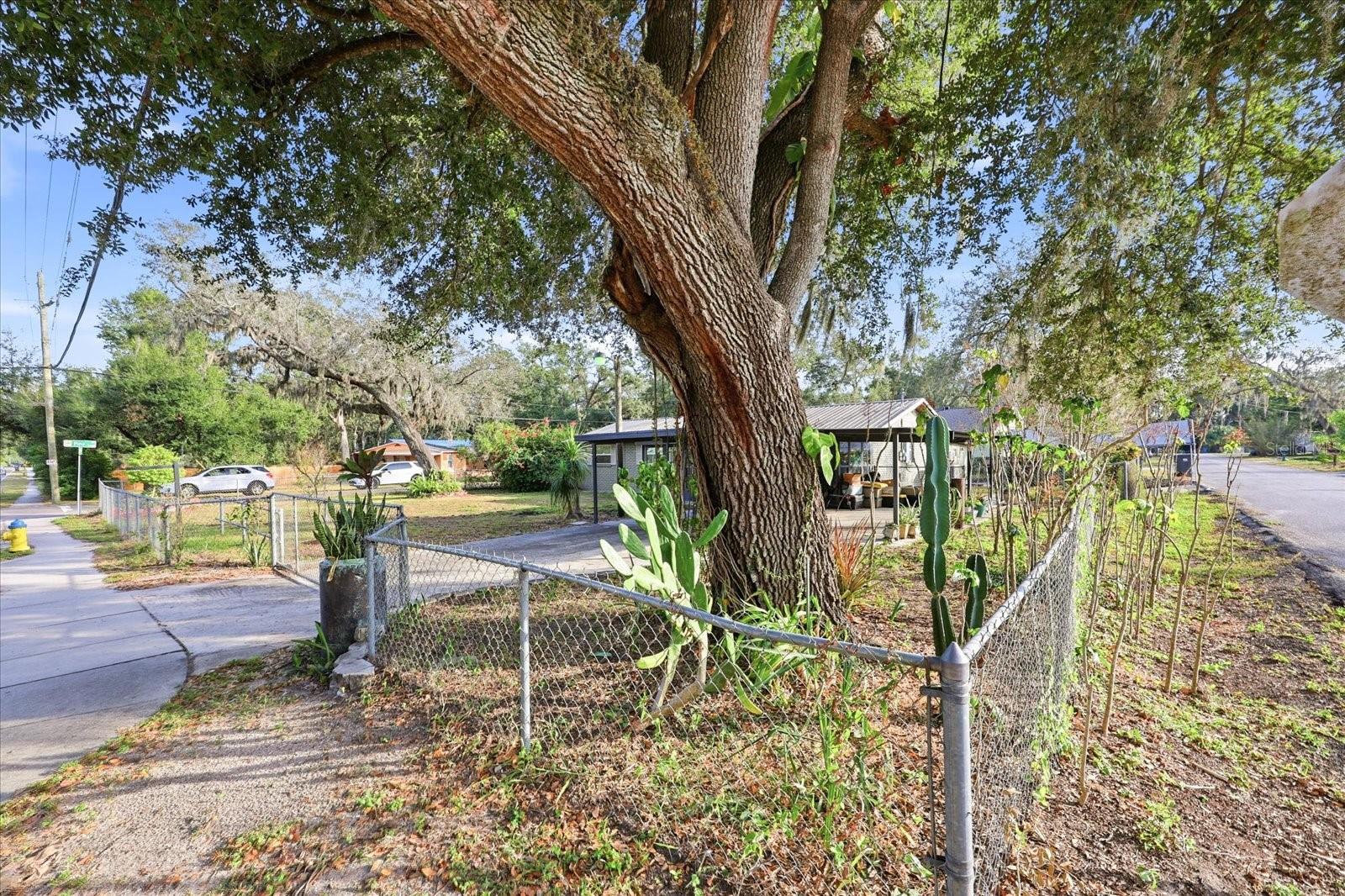 Listing photo id 27 for 12031 Old Hillsborough Avenue