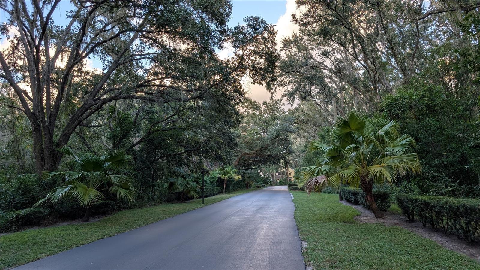 Image 63 of 72 For 2606 Fiddlestick Circle 2606