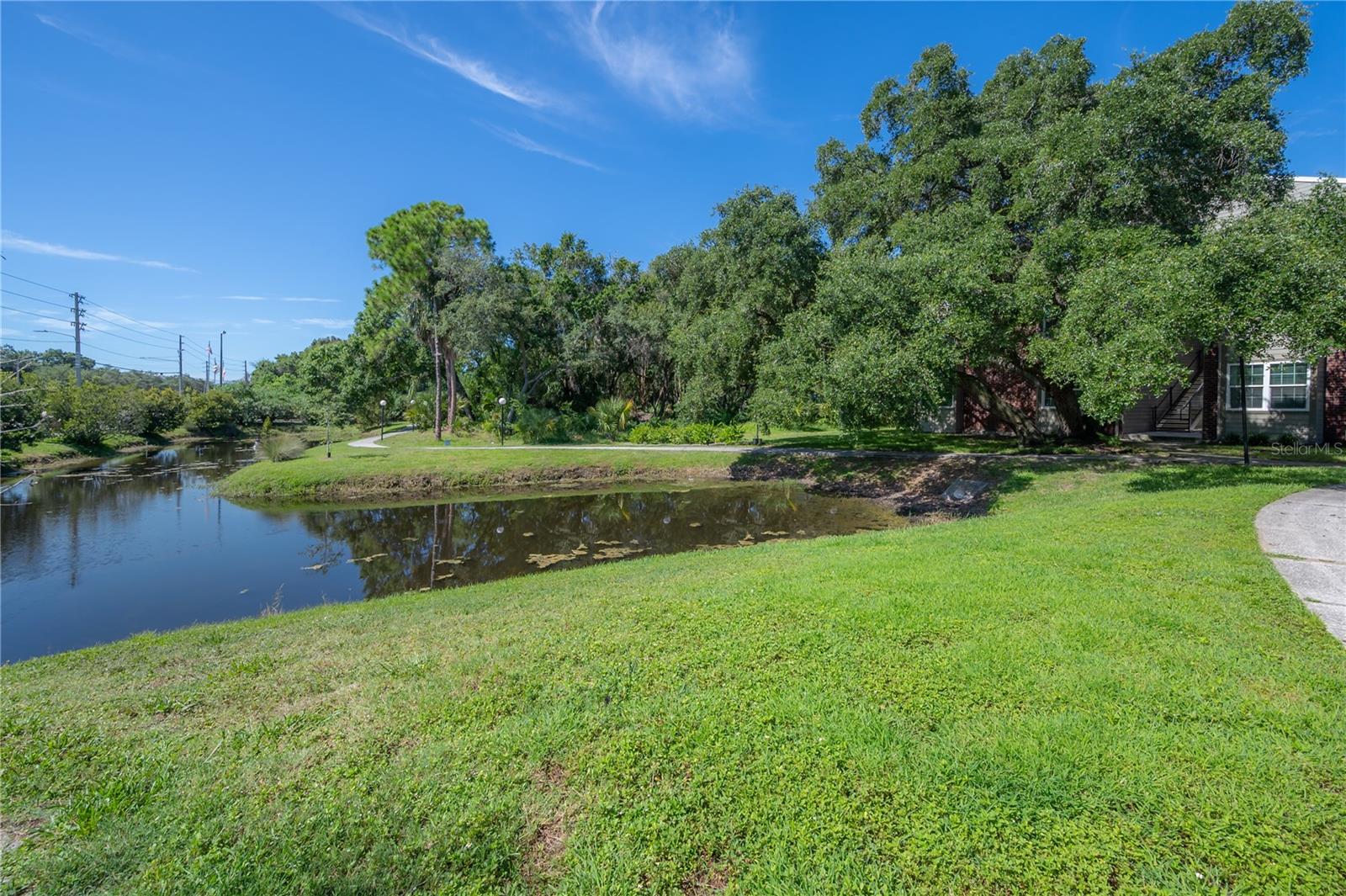 Image 31 of 41 For 9100 Dr Martin Luther King Jr Street N 905