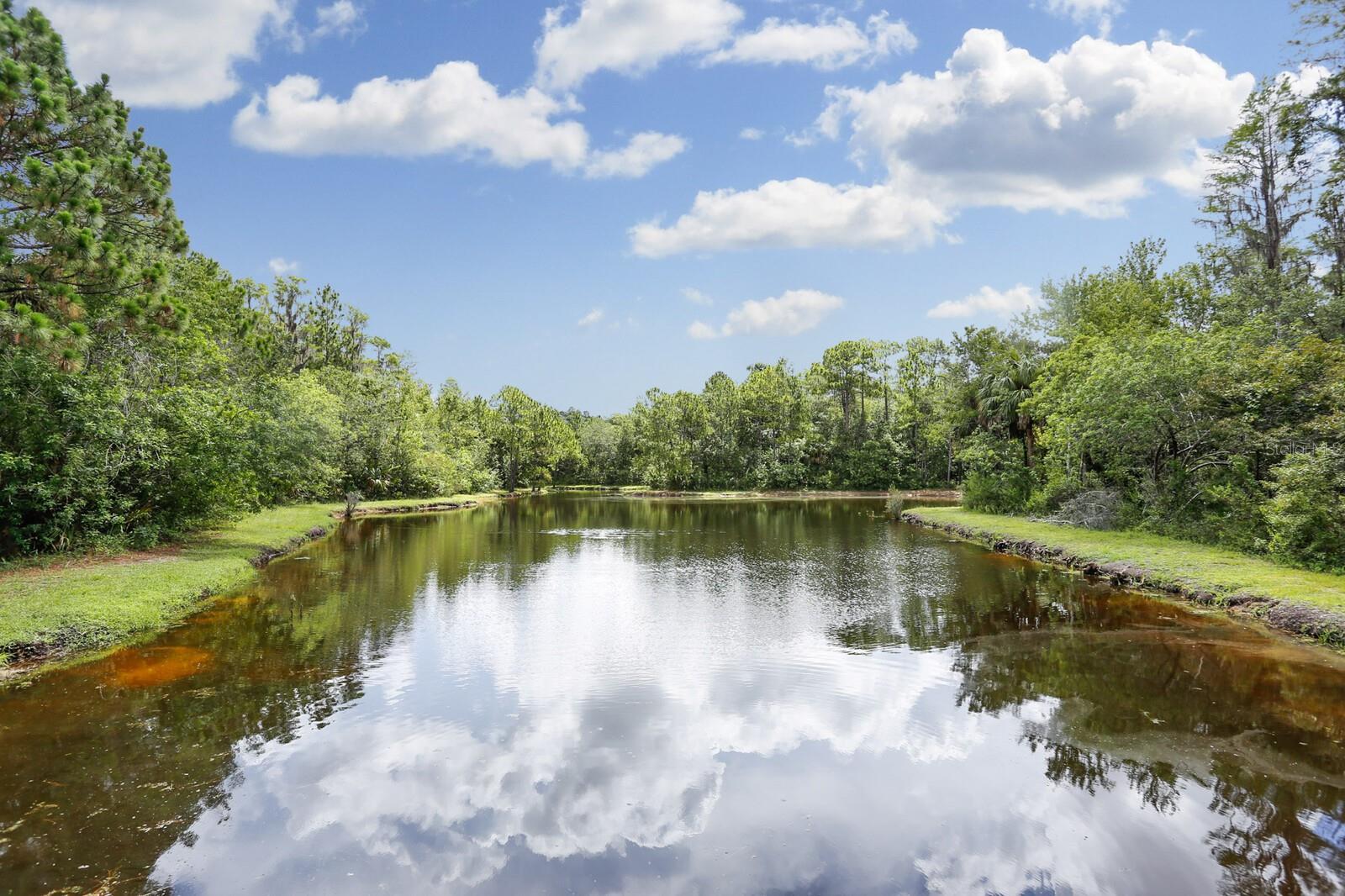 Image 32 of 46 For 9831 Meadow Field Circle 9831