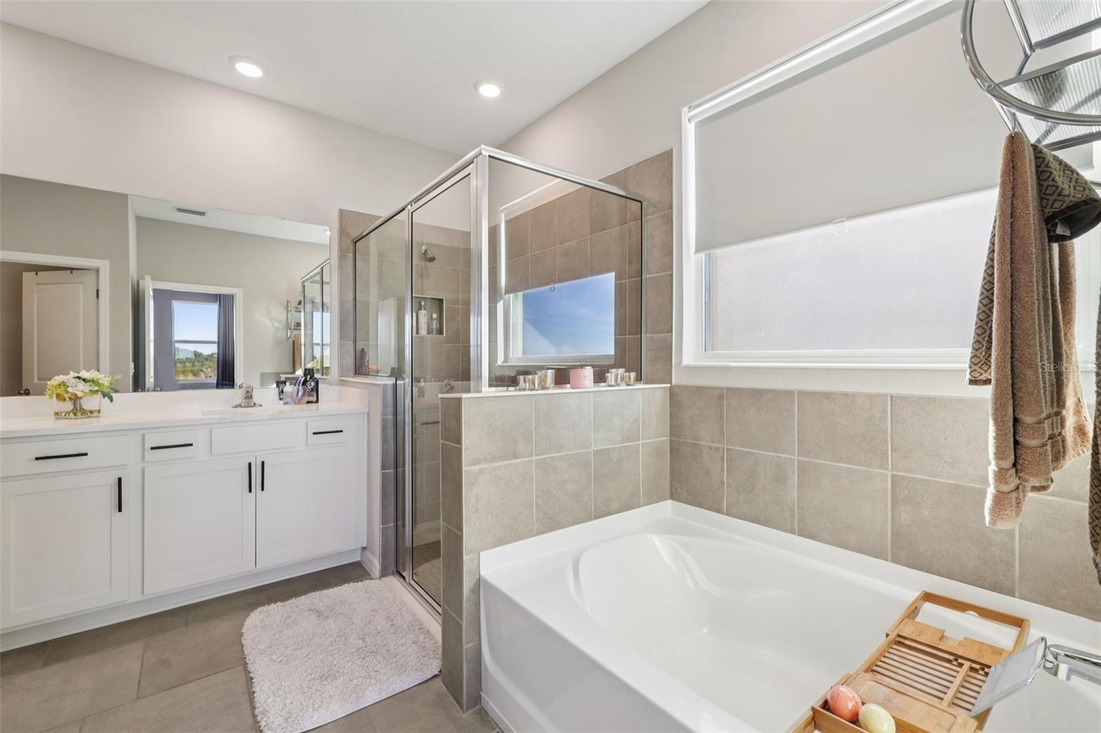 Image 42 of 78 For 10509 Bridgegate Heights Loop