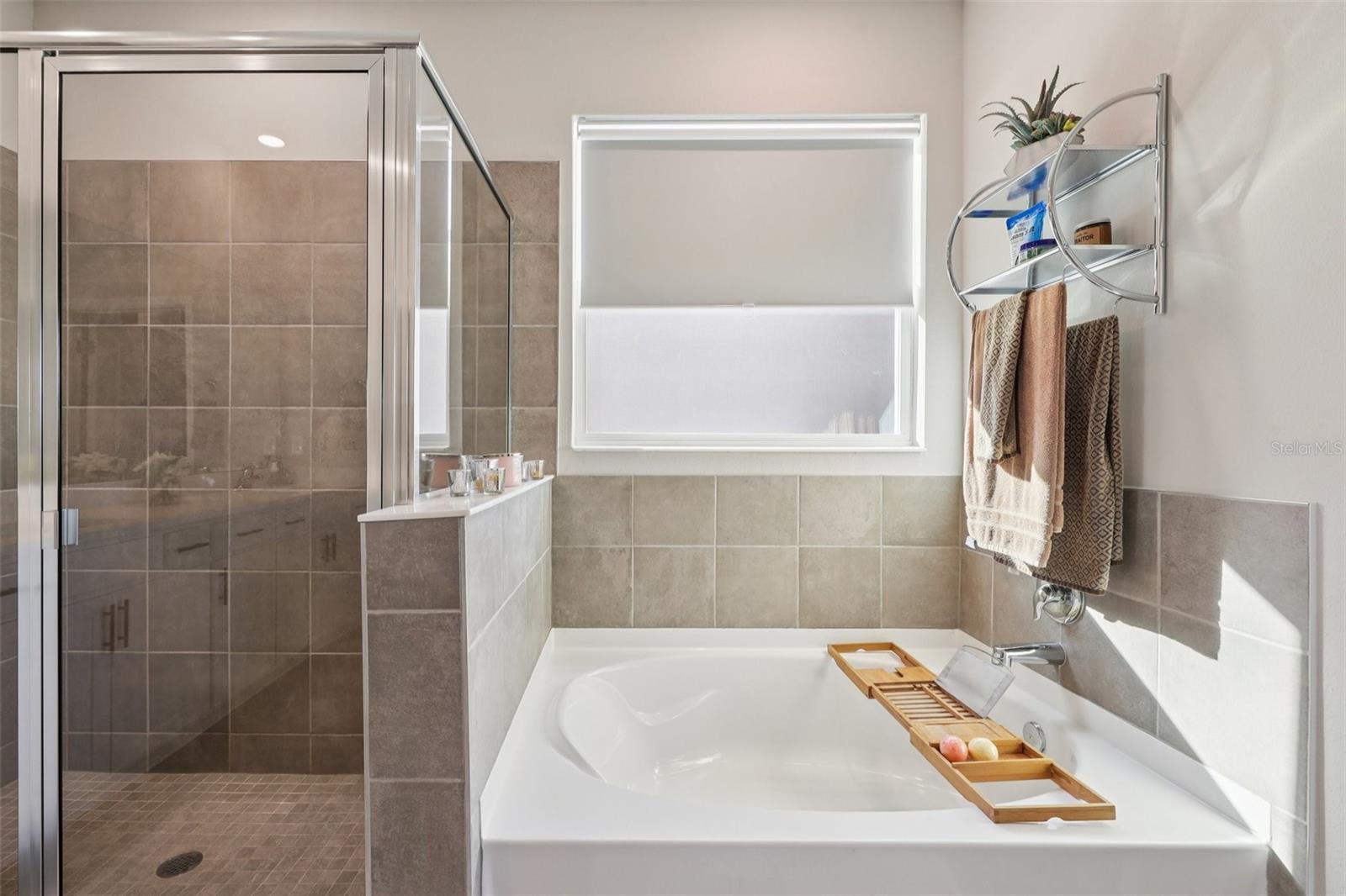 Image 46 of 78 For 10509 Bridgegate Heights Loop