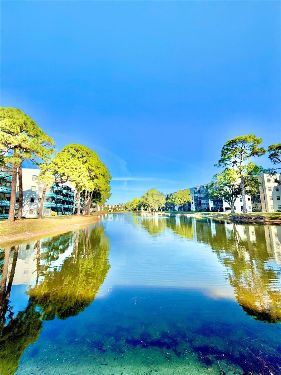 Image 34 of 46 For 5970 80th Street N 411