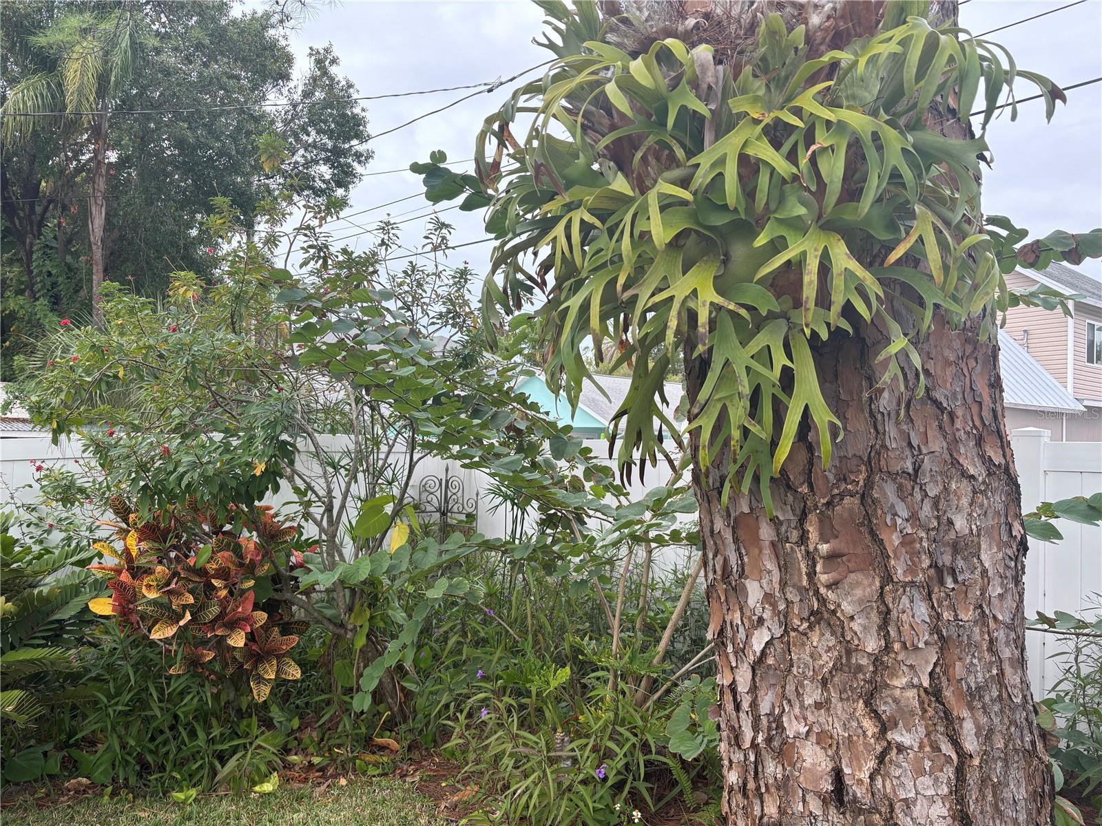 Image 12 of 35 For 512 Tennessee Avenue