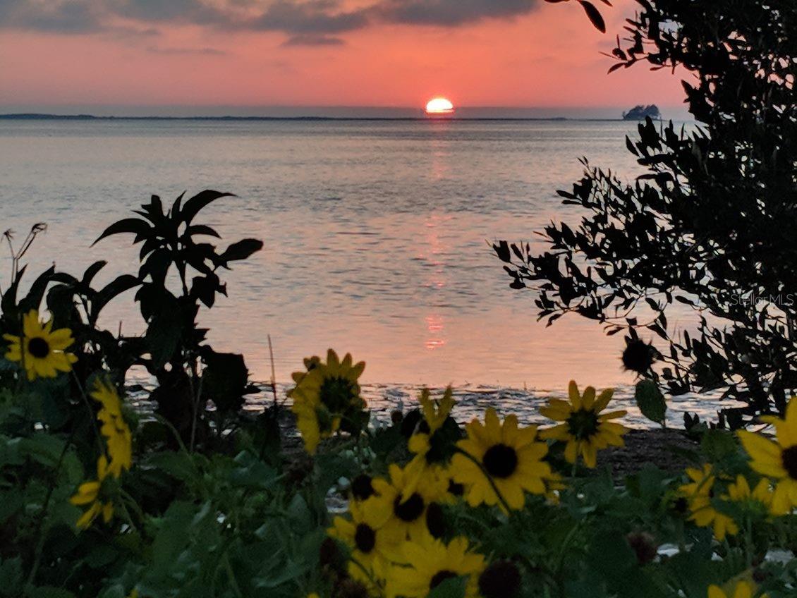 Image 15 of 35 For 512 Tennessee Avenue