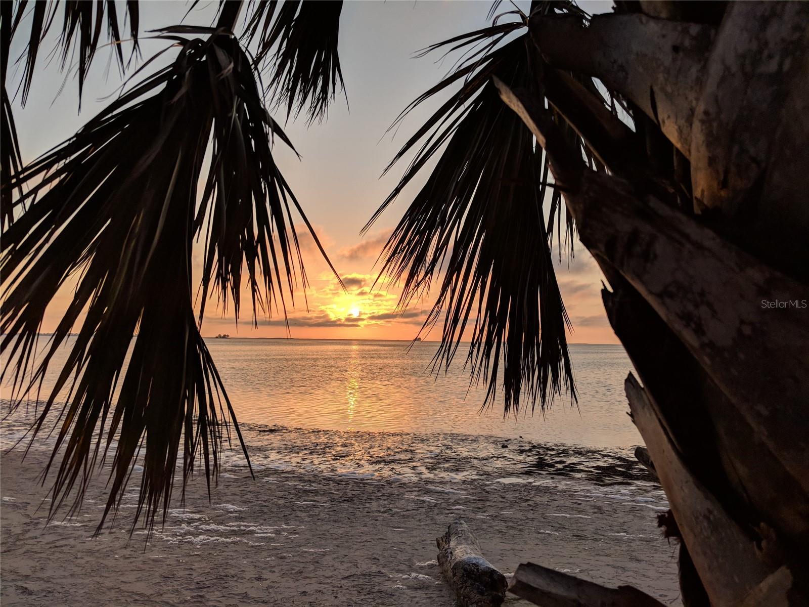 Image 16 of 35 For 512 Tennessee Avenue