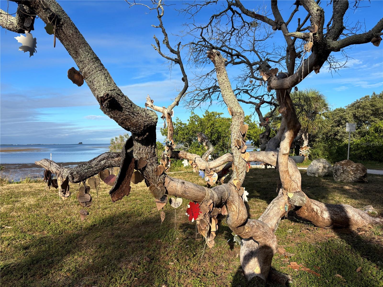 Image 17 of 35 For 512 Tennessee Avenue