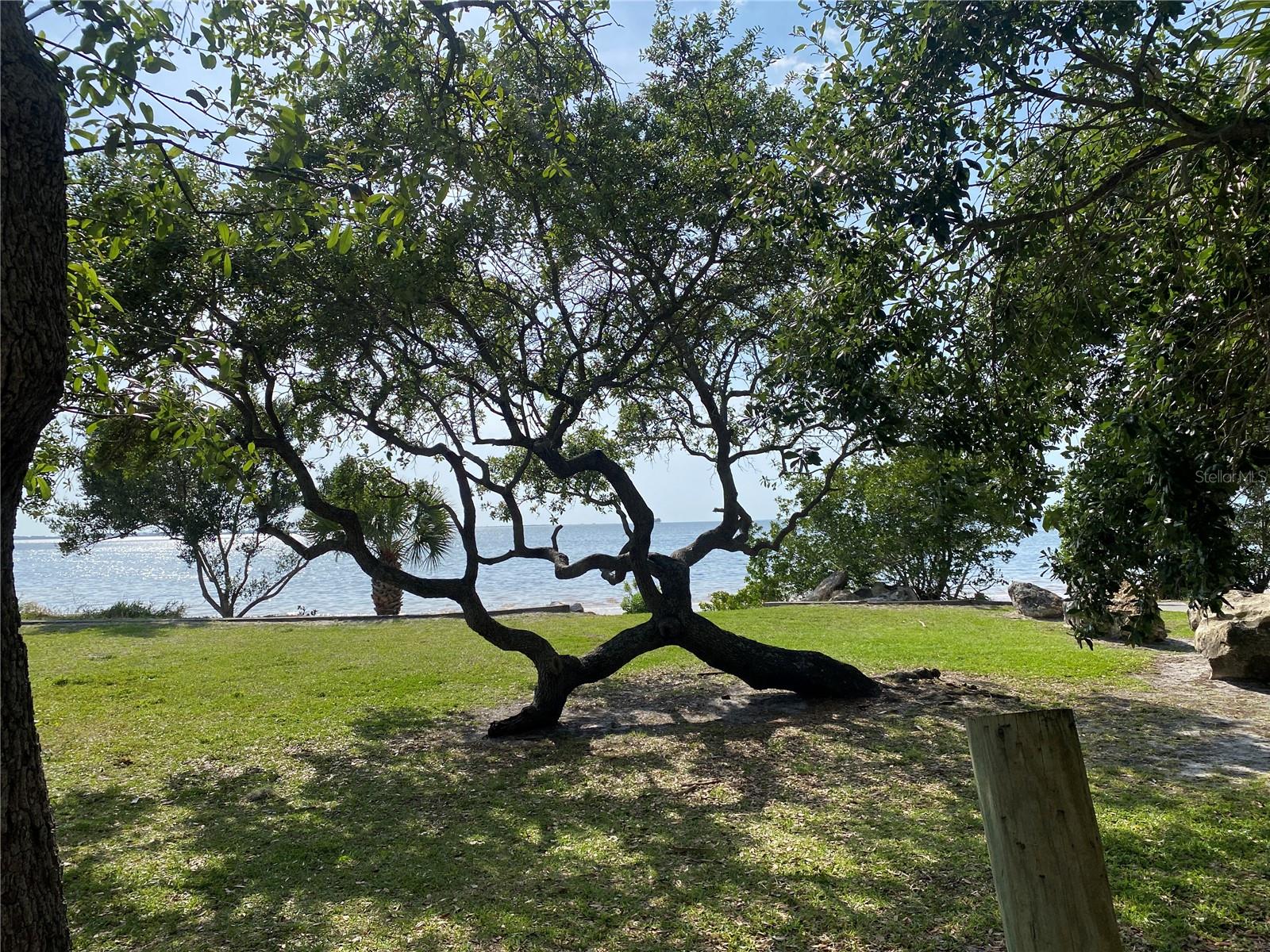 Image 19 of 35 For 512 Tennessee Avenue