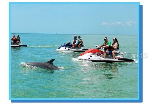 Image 22 of 35 For 512 Tennessee Avenue