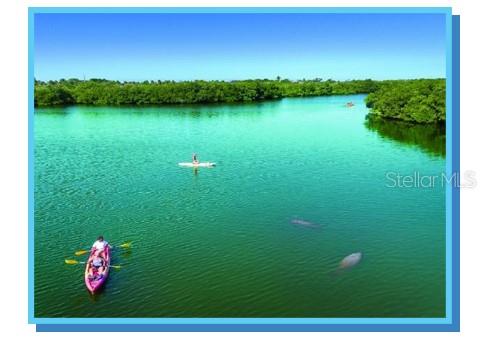 Image 23 of 35 For 512 Tennessee Avenue