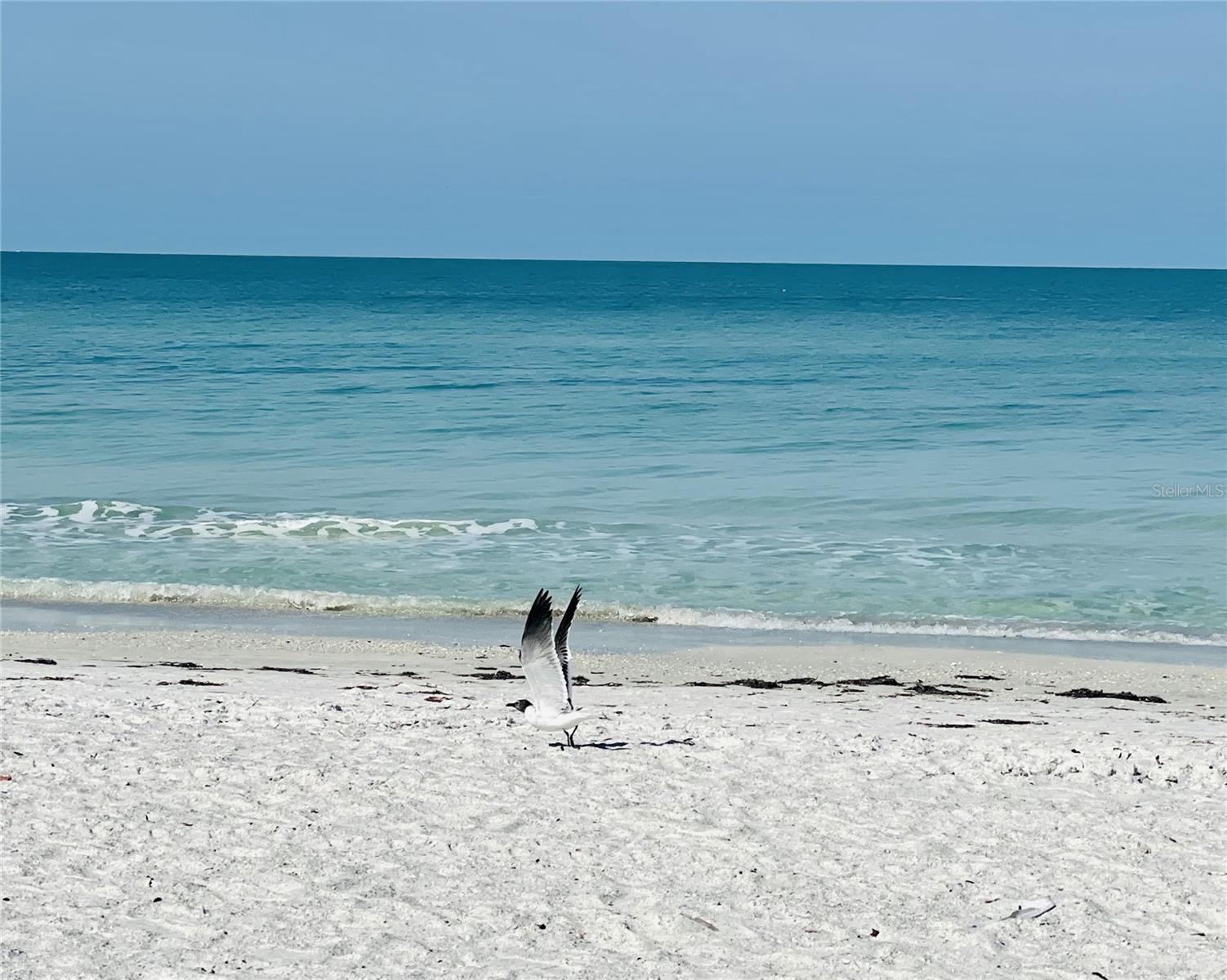 Image 25 of 35 For 512 Tennessee Avenue