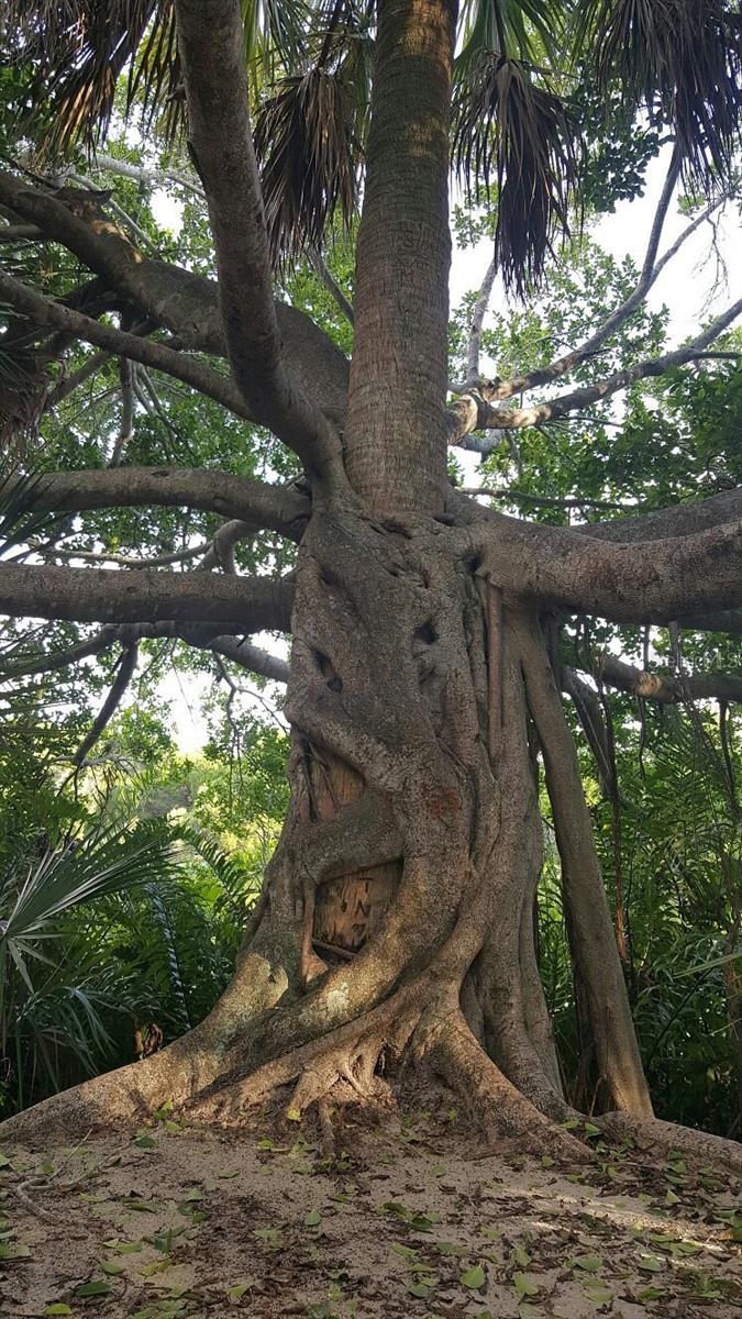 Image 28 of 35 For 512 Tennessee Avenue