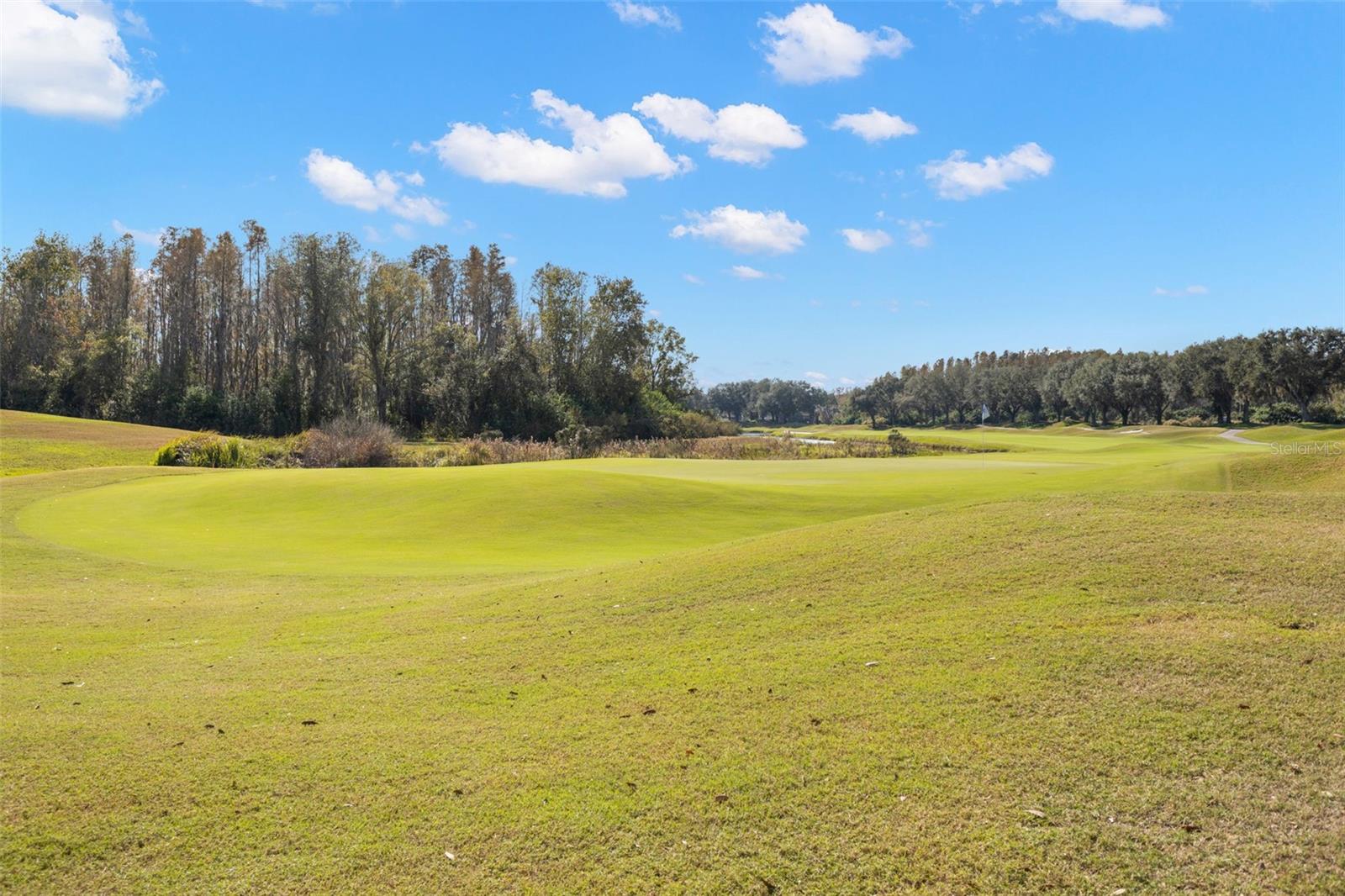 Image 41 of 43 For 18952 Maisons Drive