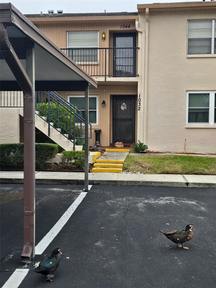 Details for 1044 Bowsprit Lane, HOLIDAY, FL 34691