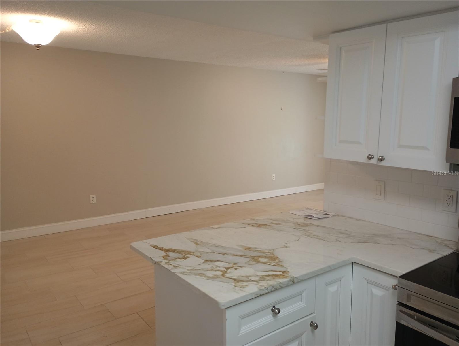 Image 3 of 13 For 1250 Pinellas Avenue 403