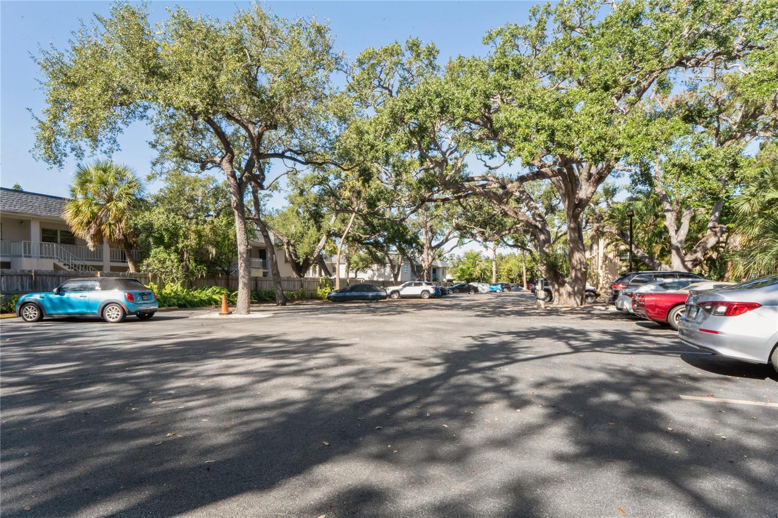 Image 36 of 46 For 3700 Osprey Avenue 102