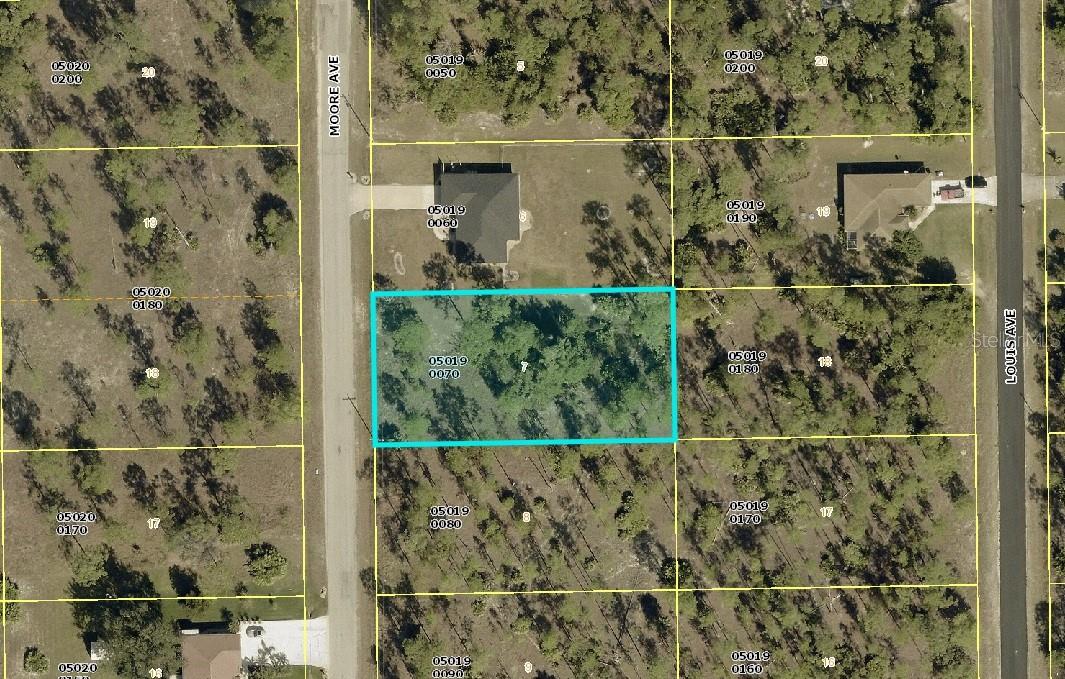 Listing Details for 110 Moore Avenue, LEHIGH ACRES, FL 33936