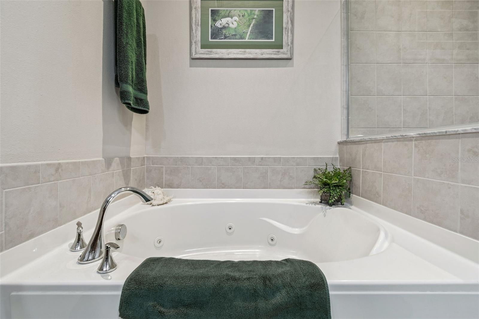 Image 36 of 78 For 12605 San Blas Loop