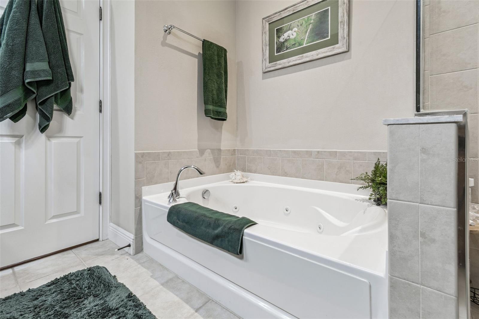 Image 37 of 78 For 12605 San Blas Loop