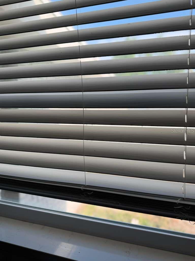 Image 16 of 43 For 5215 17th Avenue