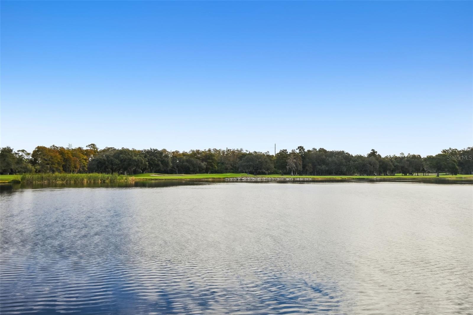 Image 6 of 57 For 36750 Us Highway 19 N 04102