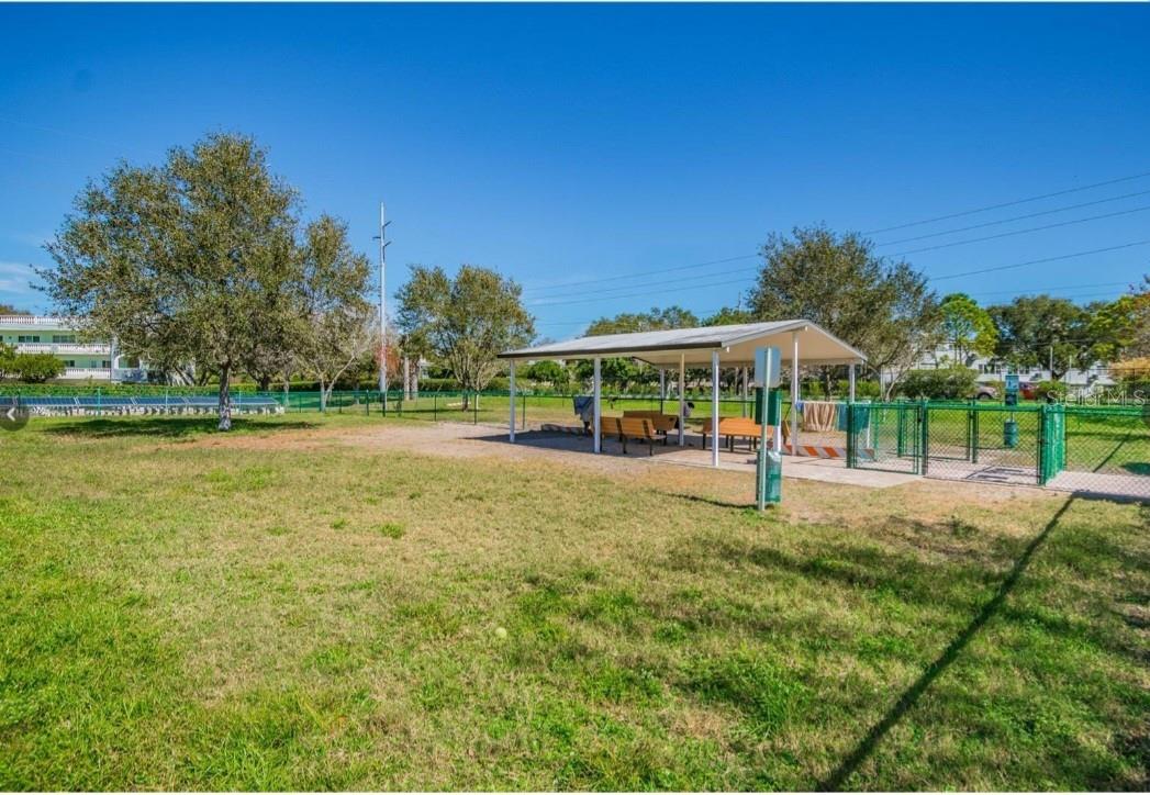 Image 20 of 24 For 2402 Ecuadorian Way 30