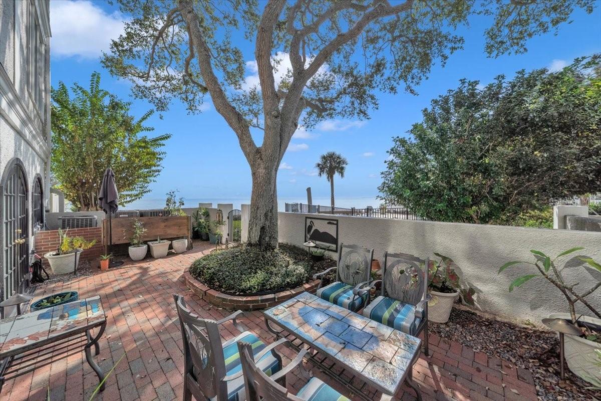 Image 59 of 76 For 6212 Bayshore Boulevard K