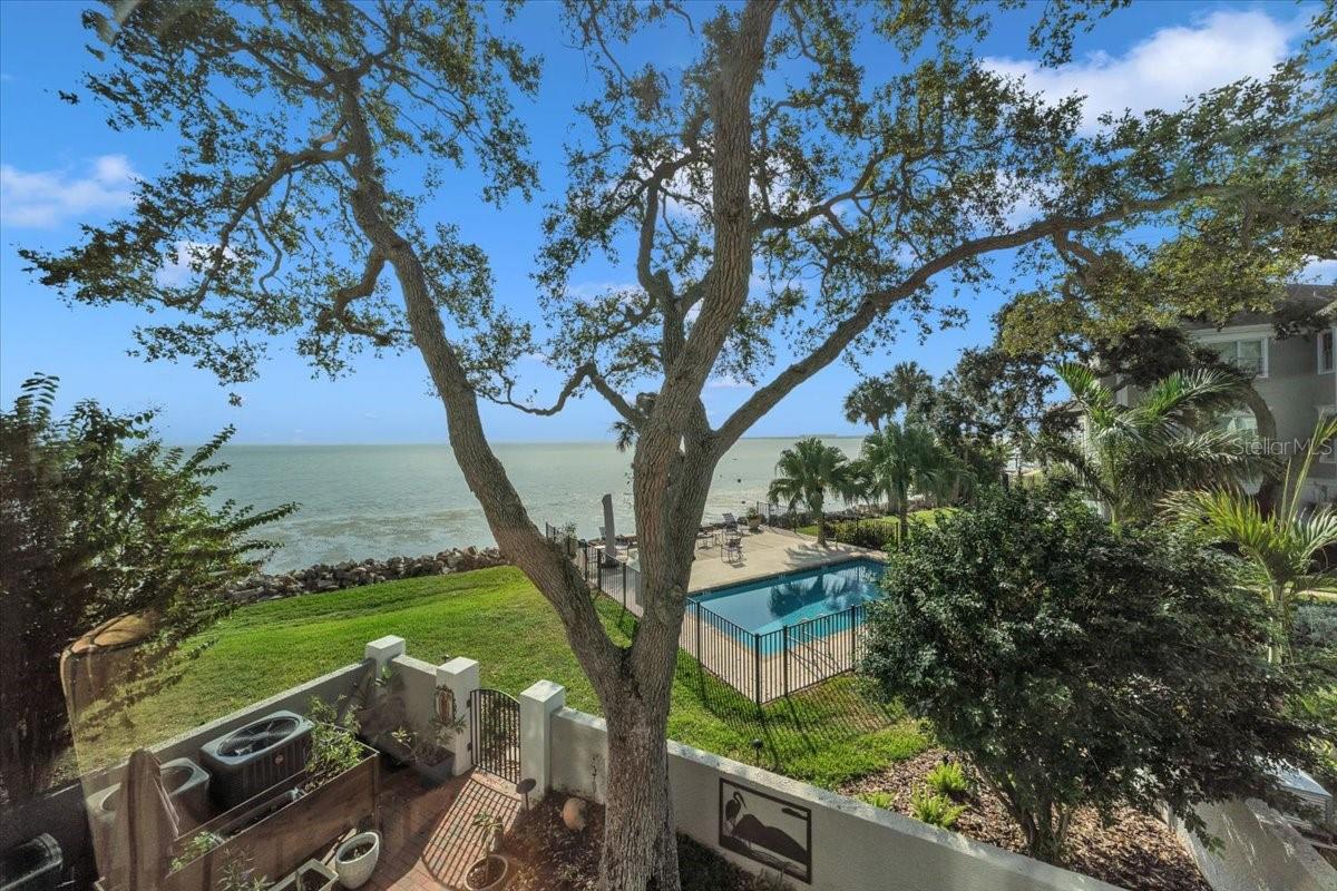 Image 62 of 76 For 6212 Bayshore Boulevard K