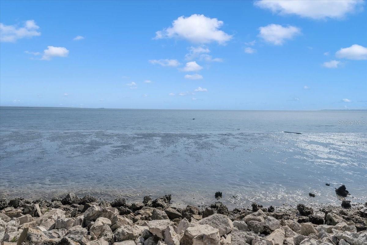 Image 76 of 76 For 6212 Bayshore Boulevard K