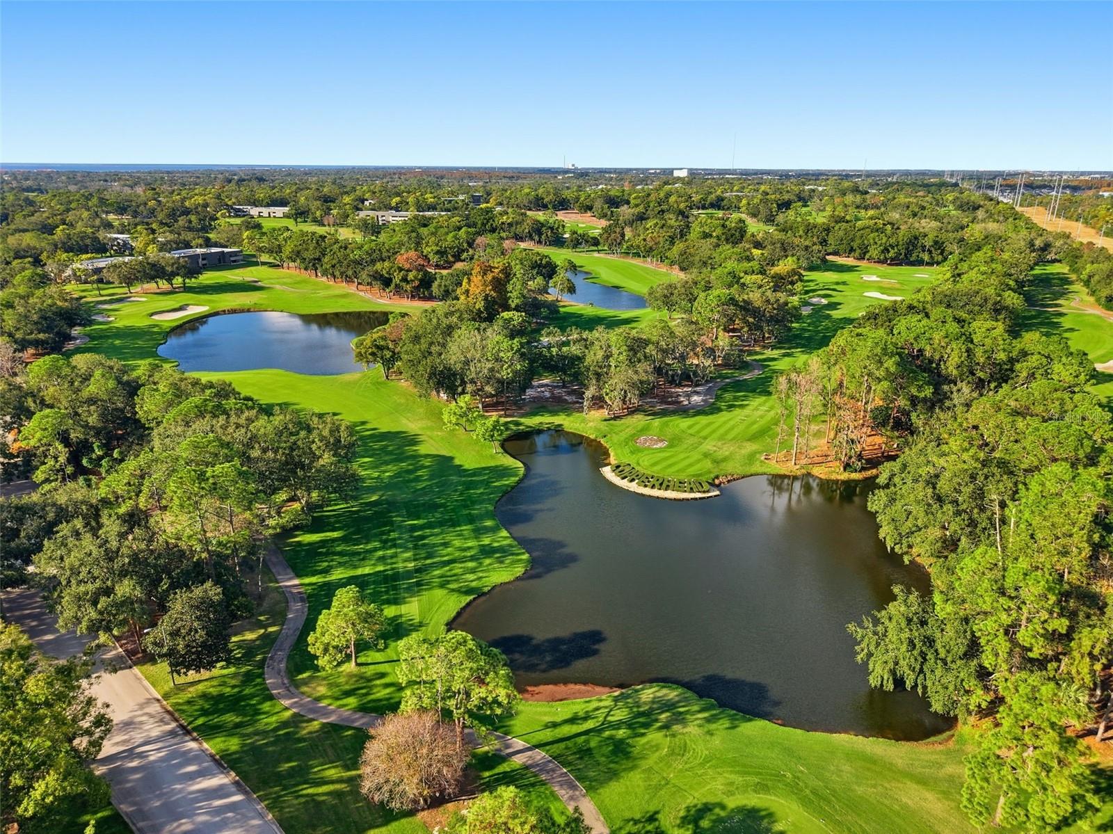 Image 33 of 35 For 36750 Us Highway 19 N 5-202