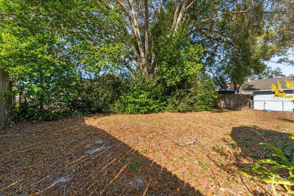 Listing photo id 28 for 3701 Modesto Street