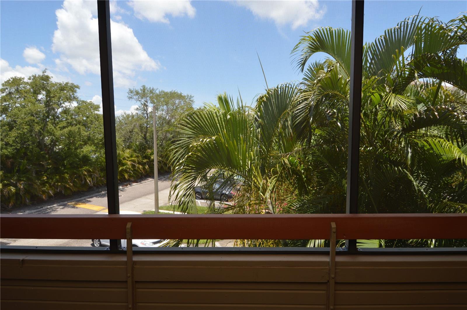 Image 44 of 95 For 10263 Gandy Boulevard N 1916