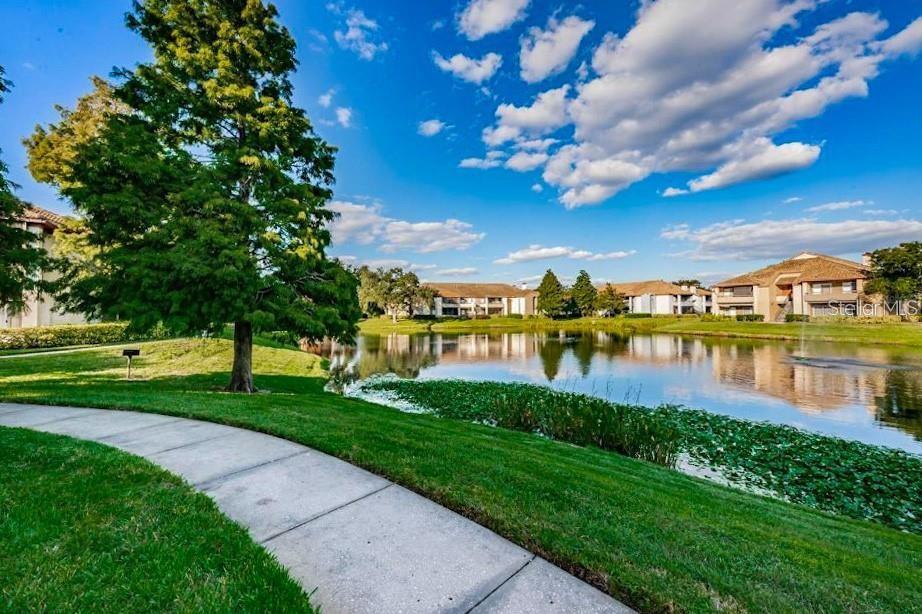 Image 47 of 95 For 10263 Gandy Boulevard N 1916