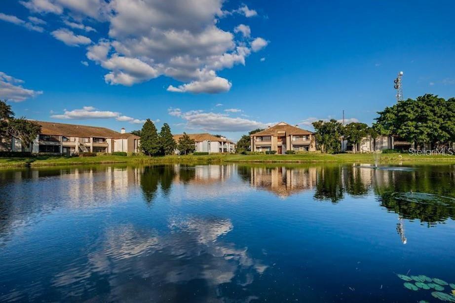 Image 48 of 95 For 10263 Gandy Boulevard N 1916