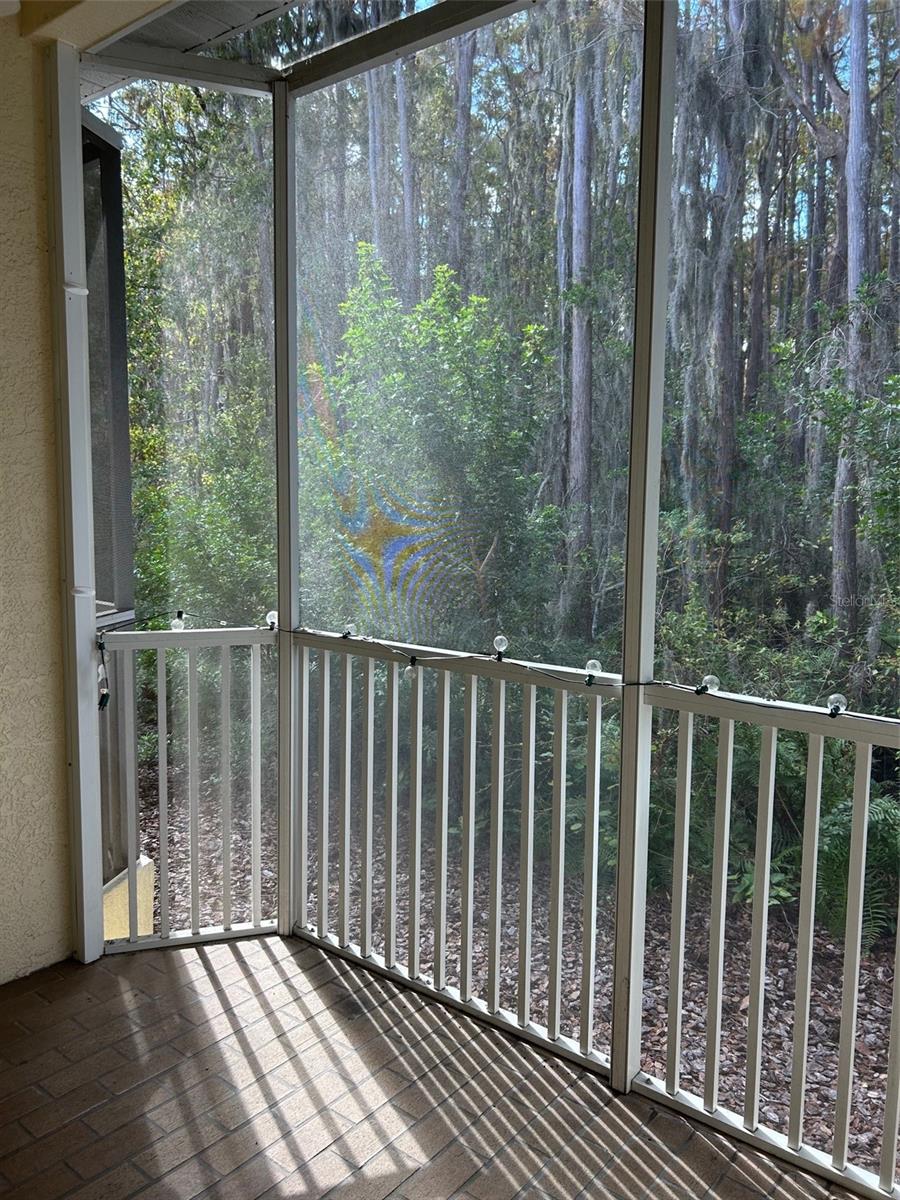 Image 15 of 16 For 3436 Primrose Way