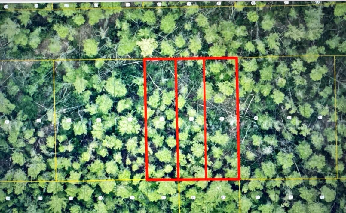 Image 3 of 10 For 1 Werley Trail