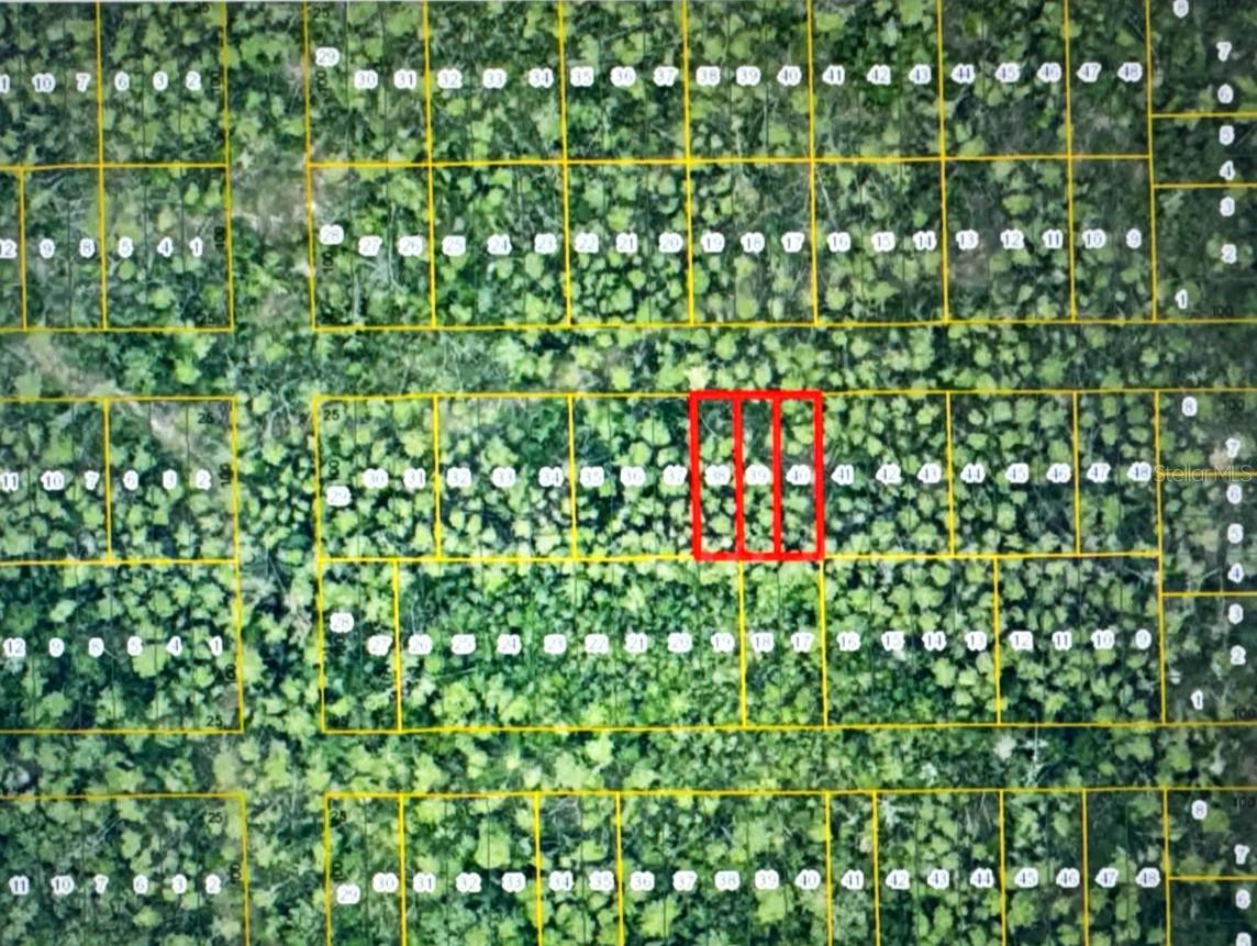 Image 4 of 10 For 1 Werley Trail