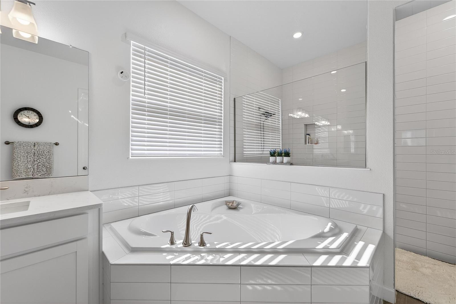 Image 33 of 98 For 17216 Scuba Crest Street