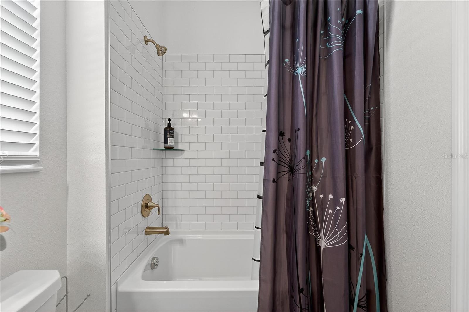 Image 49 of 98 For 17216 Scuba Crest Street