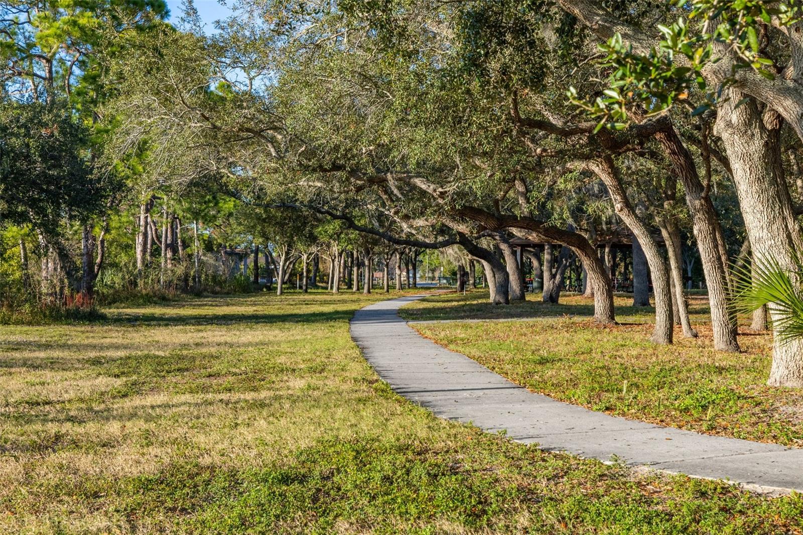 Listing photo id 78 for 152 Brent Circle