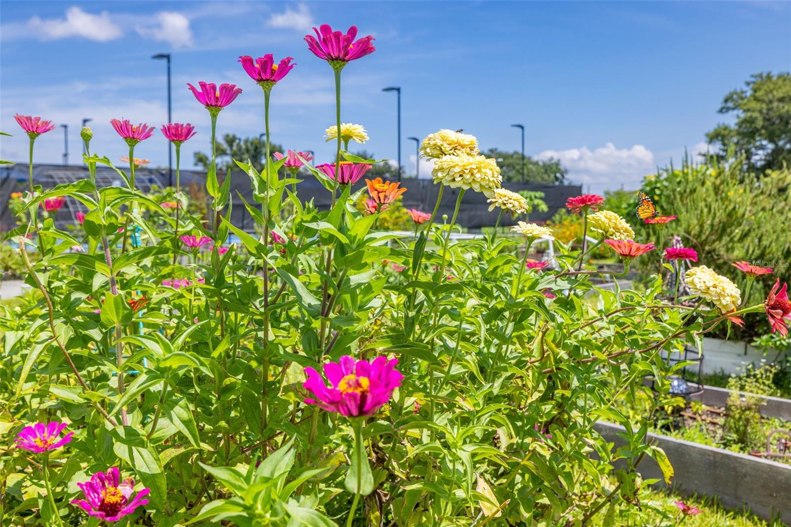 Image 37 of 41 For 946 Virginia Street 207