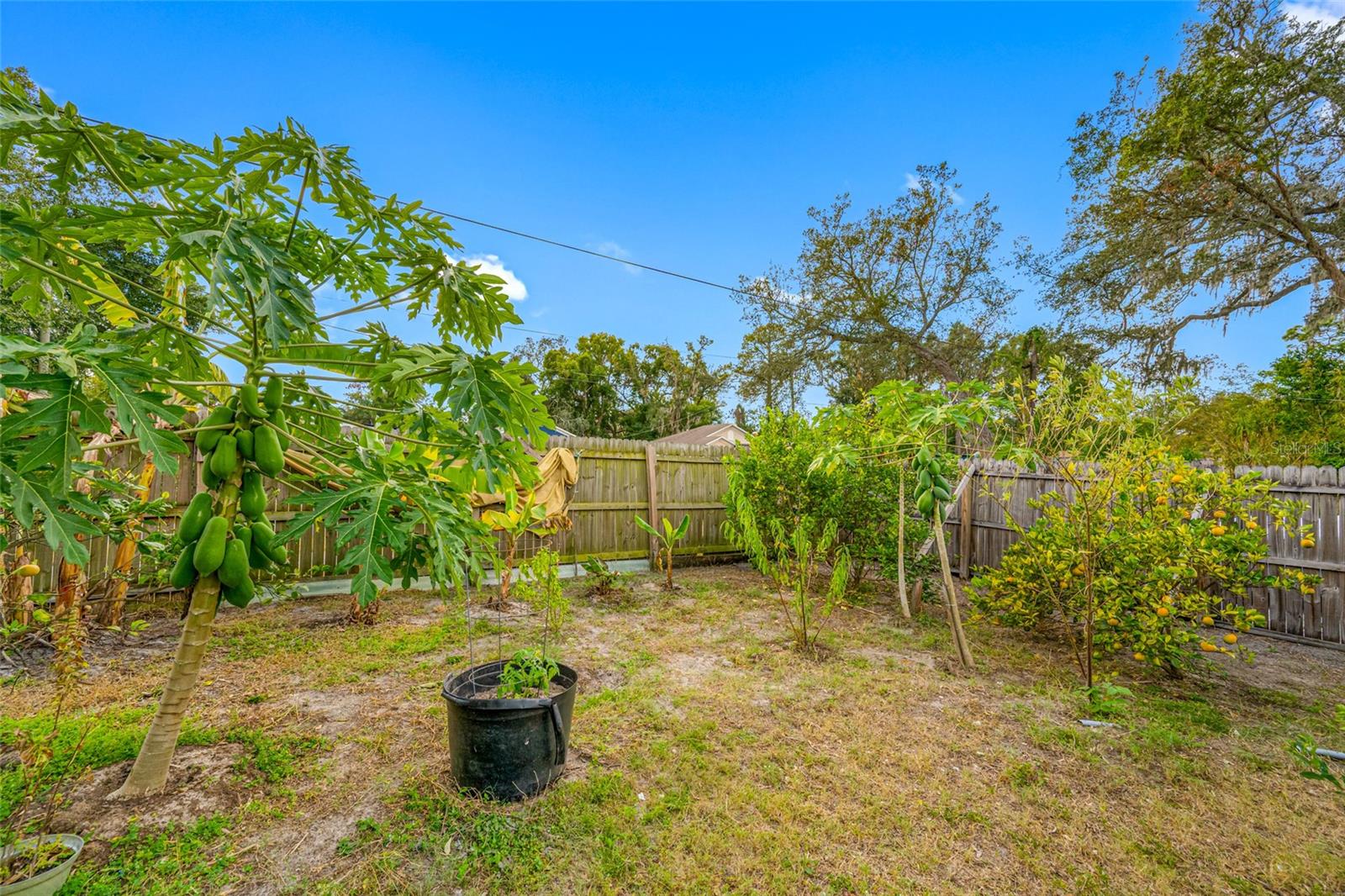 Image 37 of 41 For 10202 16th Street