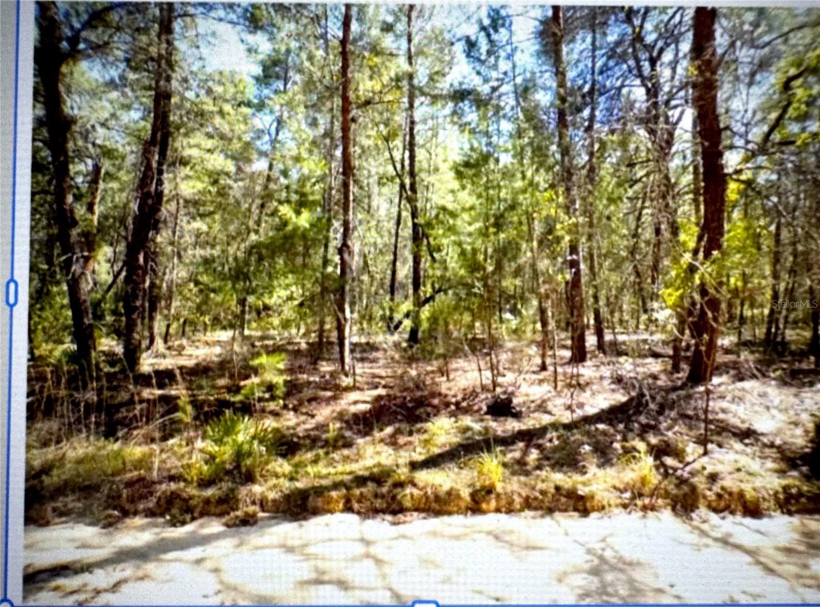 Details for Old Bellamy Trail, MELROSE, FL 32666