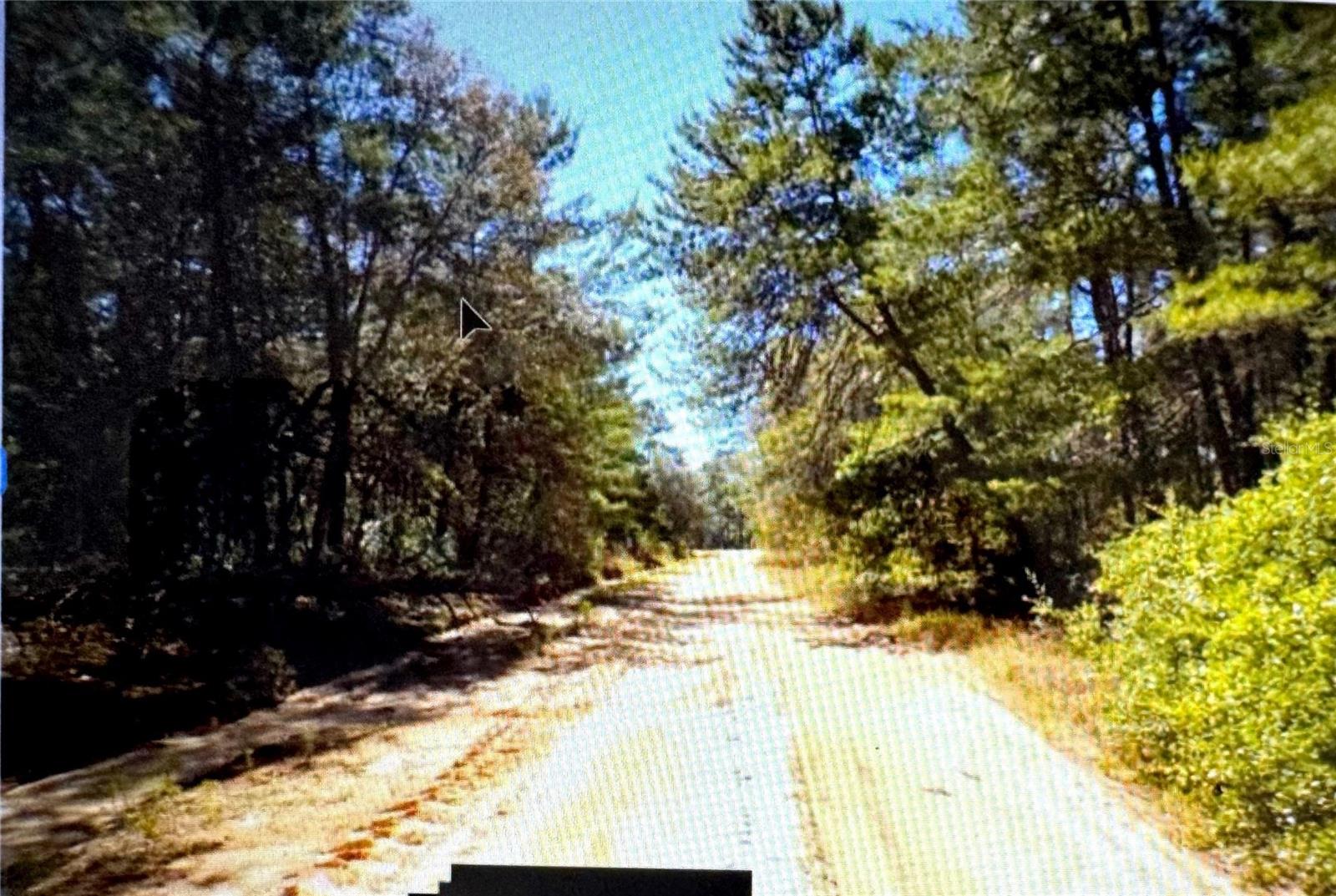 Image 3 of 12 For Old Bellamy Trail