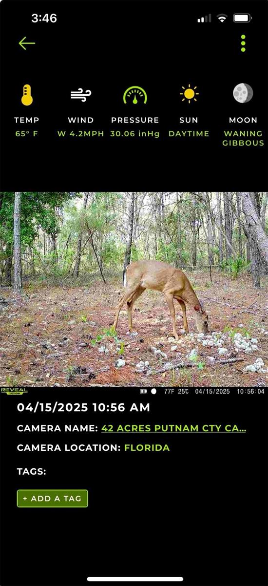 Image 4 of 12 For Old Bellamy Trail